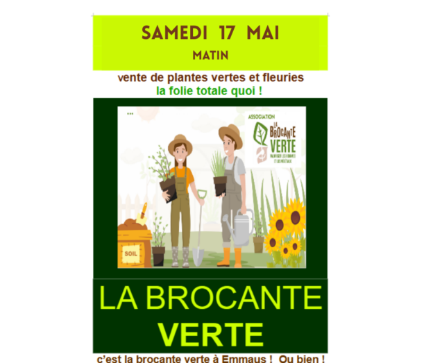 20250517 BVerte Fb