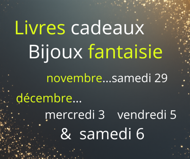 202511-12 Bijoux Livres cado