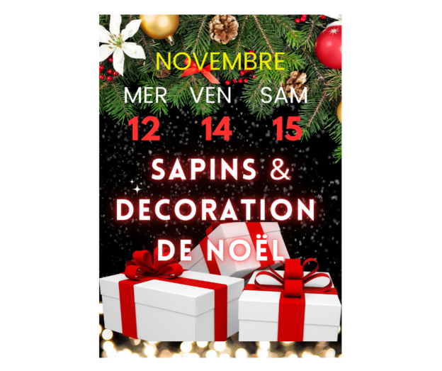 202511 deco et sapins noel FB