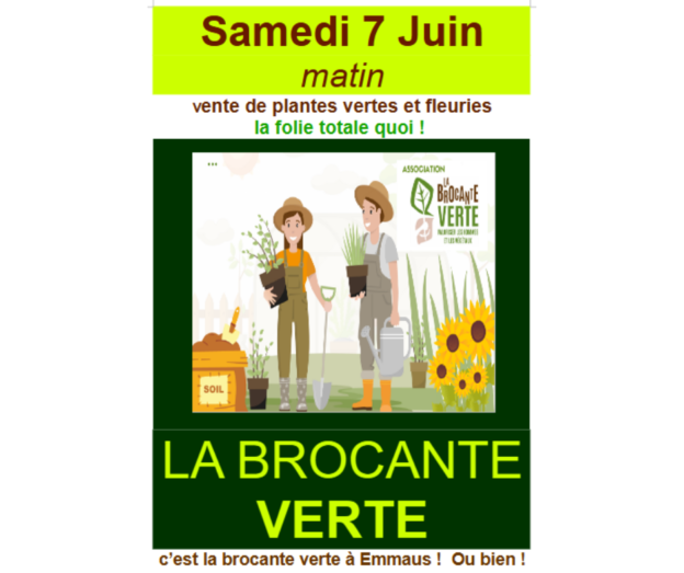 BVerte 20250617 Fb