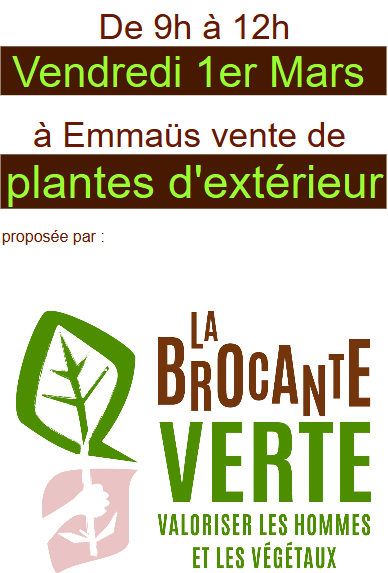 Broc verte 202403 FB insta